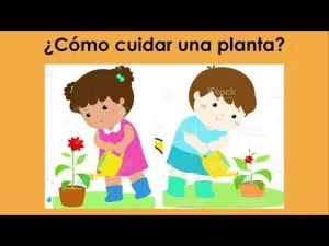 como-cuidar-las-plantas-para-ninos-de-preescolar
