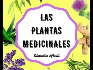 como-ensenar-las-plantas-medicinales-a-los-ninos